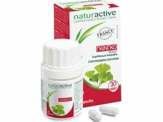 Naturactive Ginkgo Biloba Συμβάλει στην Ενίσχυση της Μνήμης & στην Τόνωση της Κυκλοφορίας στον Εγκέφαλο 60caps