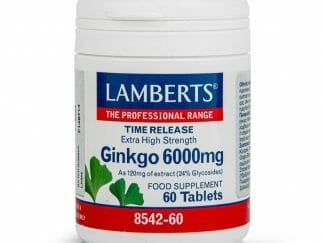 Lamberts Ginkgo Biloba Extract Συμπλήρωμα Διατροφής για τη Διατήρηση της Περιφερικής Κυκλοφορίας του Αίματος στα Άκρα 6000mg - 60 tabs