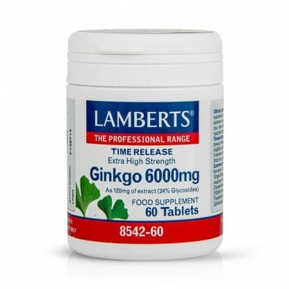 Lamberts Ginkgo Biloba Extract Συμπλήρωμα Διατροφής για τη Διατήρηση της Περιφερικής Κυκλοφορίας του Αίματος στα Άκρα 6000mg - 60 tabs