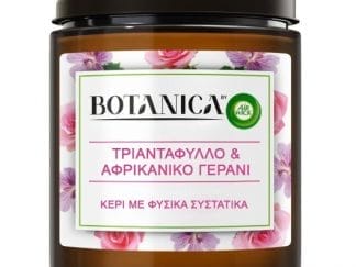 Airwick Botanica Κερί Τριαντάφυλλο & Αφρικανικό Γεράνι 205gr